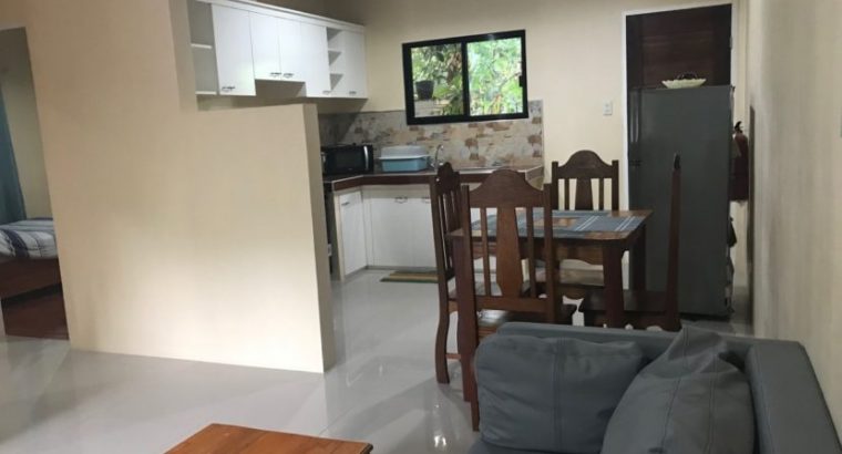 APARTMENT FOR SALE IN DUMAGUETE CITY