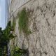 BEACH LOT FOR SALE