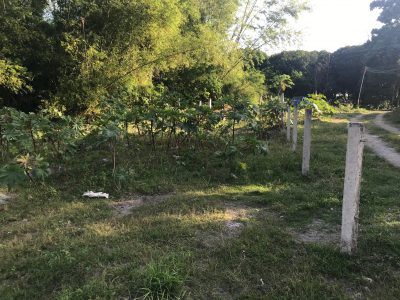 LOT FOR SALE IN BACONG