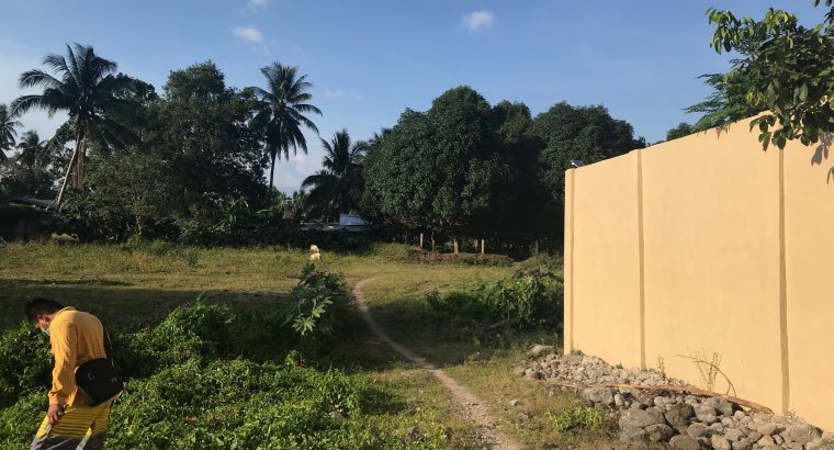 LOT FOR SALE IN BACONG