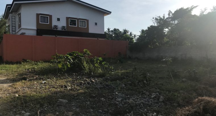 LOT FOR SALE IN BACONG