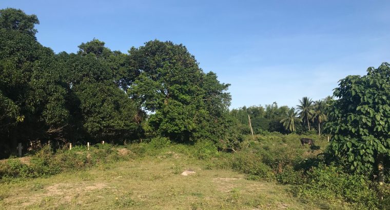 LOT FOR SALE IN BACONG