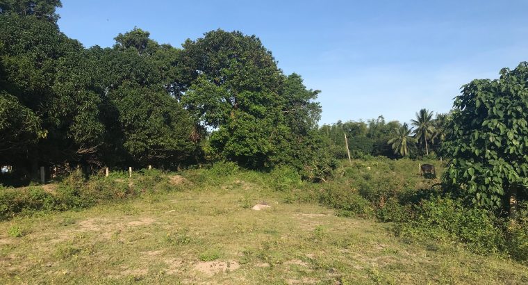 LOT FOR SALE IN BACONG