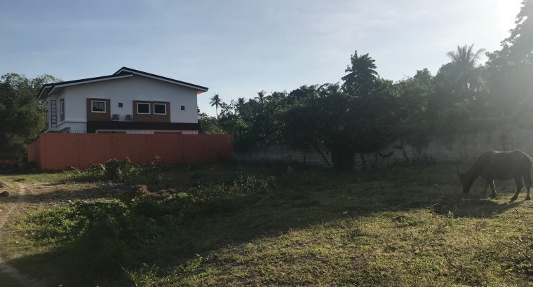 LOT FOR SALE IN BACONG
