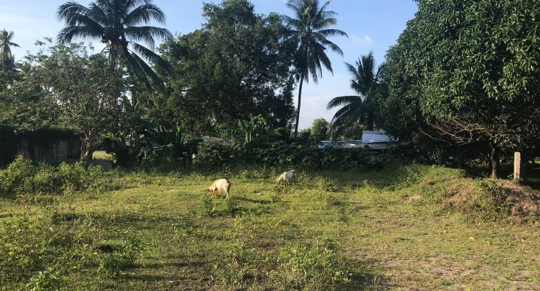 LOT FOR SALE IN BACONG