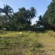 LOT FOR SALE IN BACONG