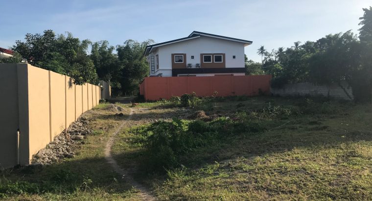 LOT FOR SALE IN BACONG