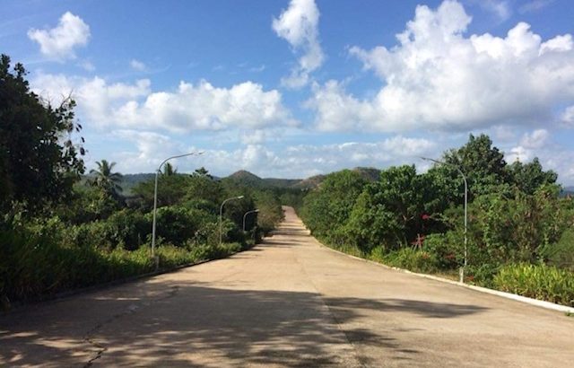 Lot for Sale in a Subdivision in Coron, Palawan