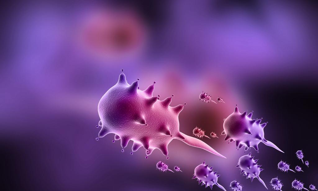 Streptozotocin (STZ)-Induced Diabetic Model