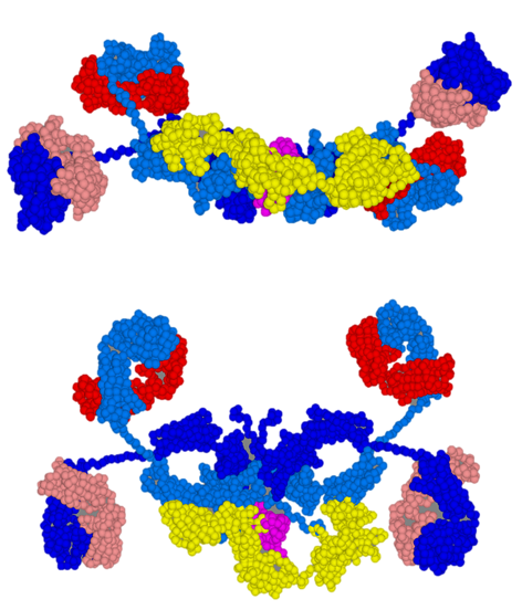 How Ribosome Profiling Technologies Are Changing Our View of Protein Synthesis