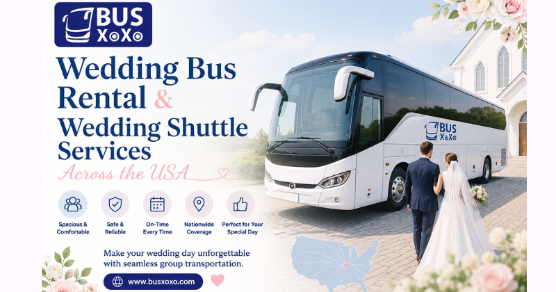 Affordable Wedding Bus Rental Services