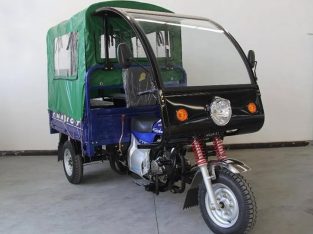 2020 Chariot – blue with green soft top rear cover