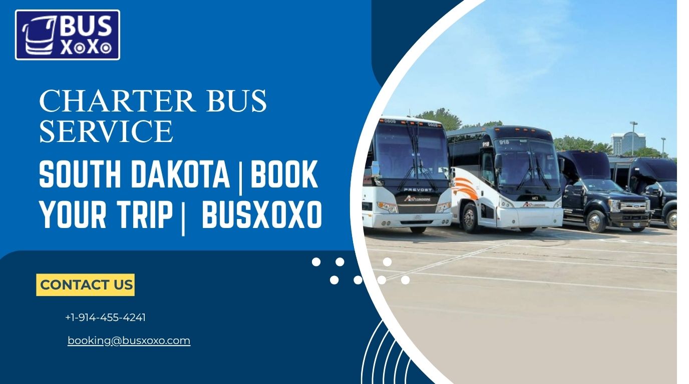 Wedding Bus Rental Illinois for Comfortable Guest Transportation