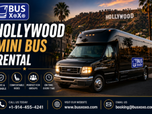 Hollywood Minibus Rentals | Comfortable Transportation for Small Groups