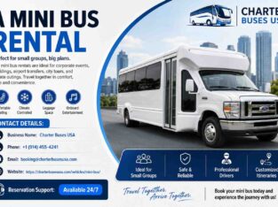 Private Mini Bus Rental for Airport and Hotel Transfers