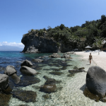 Apo Island Beach Resort