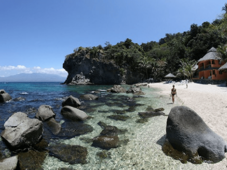 Apo Island Beach Resort