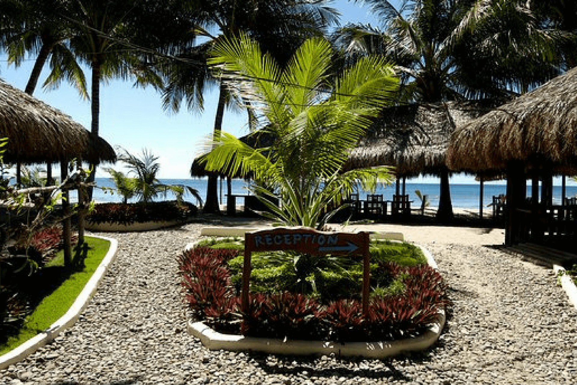 Cove Paradise Beach & Dive Resort