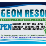 Pigeon Resort