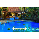 The Forest Camp Nature Resort