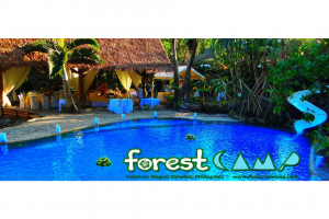 The Forest Camp Nature Resort