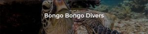 Bongo Bongo Divers