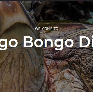 Bongo Bongo Divers
