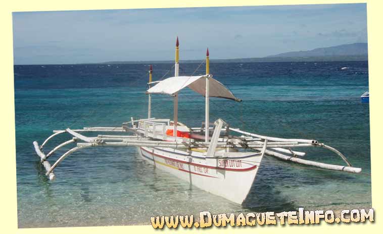 apo island banca