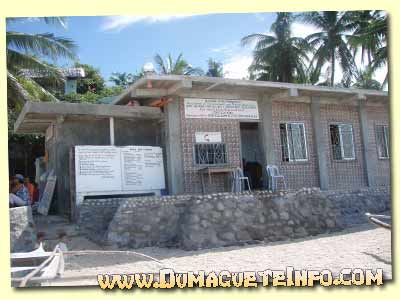 apo island