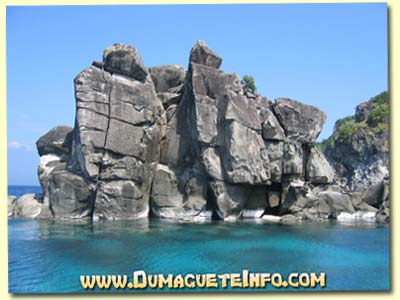 Apo Island Rock Formations