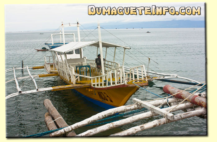 Rental Boat for Dolphin Watching in Bais City