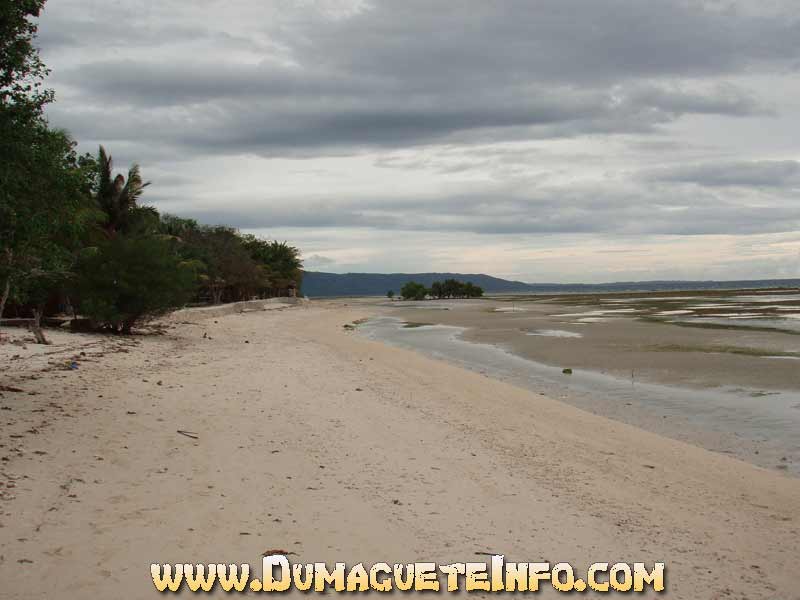 Siquijor Beach