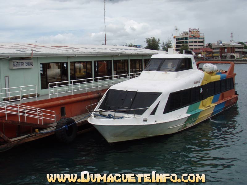 Delta Lines fast ferry