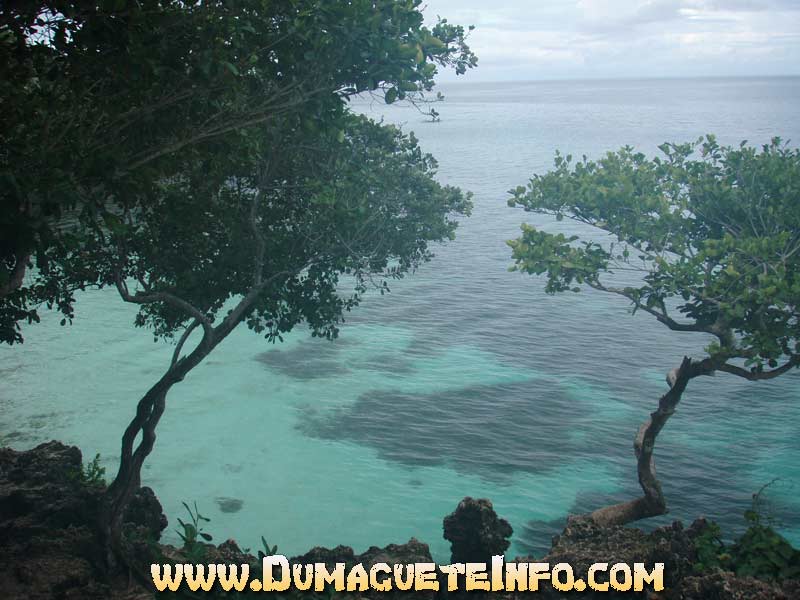 snorkeling salagdoong beach