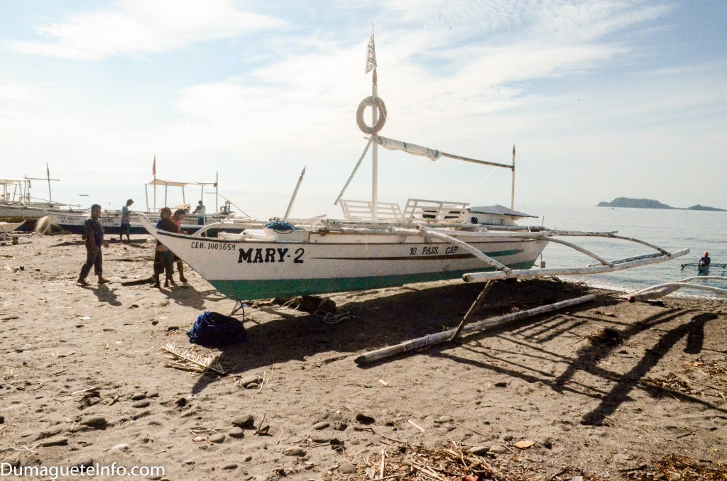 Boat rental fee: small boat (good for 3-5 persons) php 2,000.00, large boat (max 10 persons) php 3,000.00