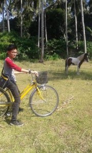 Biking around Plantasia Park