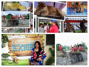Amlan Dreamland Zoo