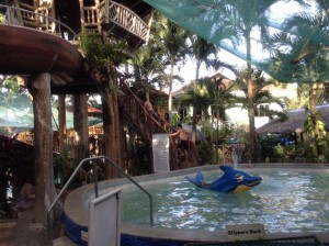 Pool area for your little kids